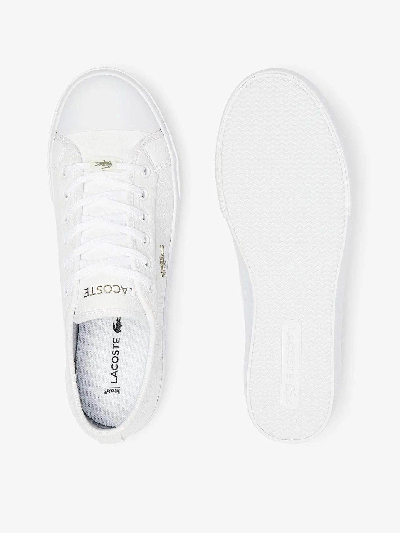 Кеди Lacoste Ziane Plus модель 741CFA005421G Кеди Lacoste Ziane Plus модель 741CFA005421G Фото