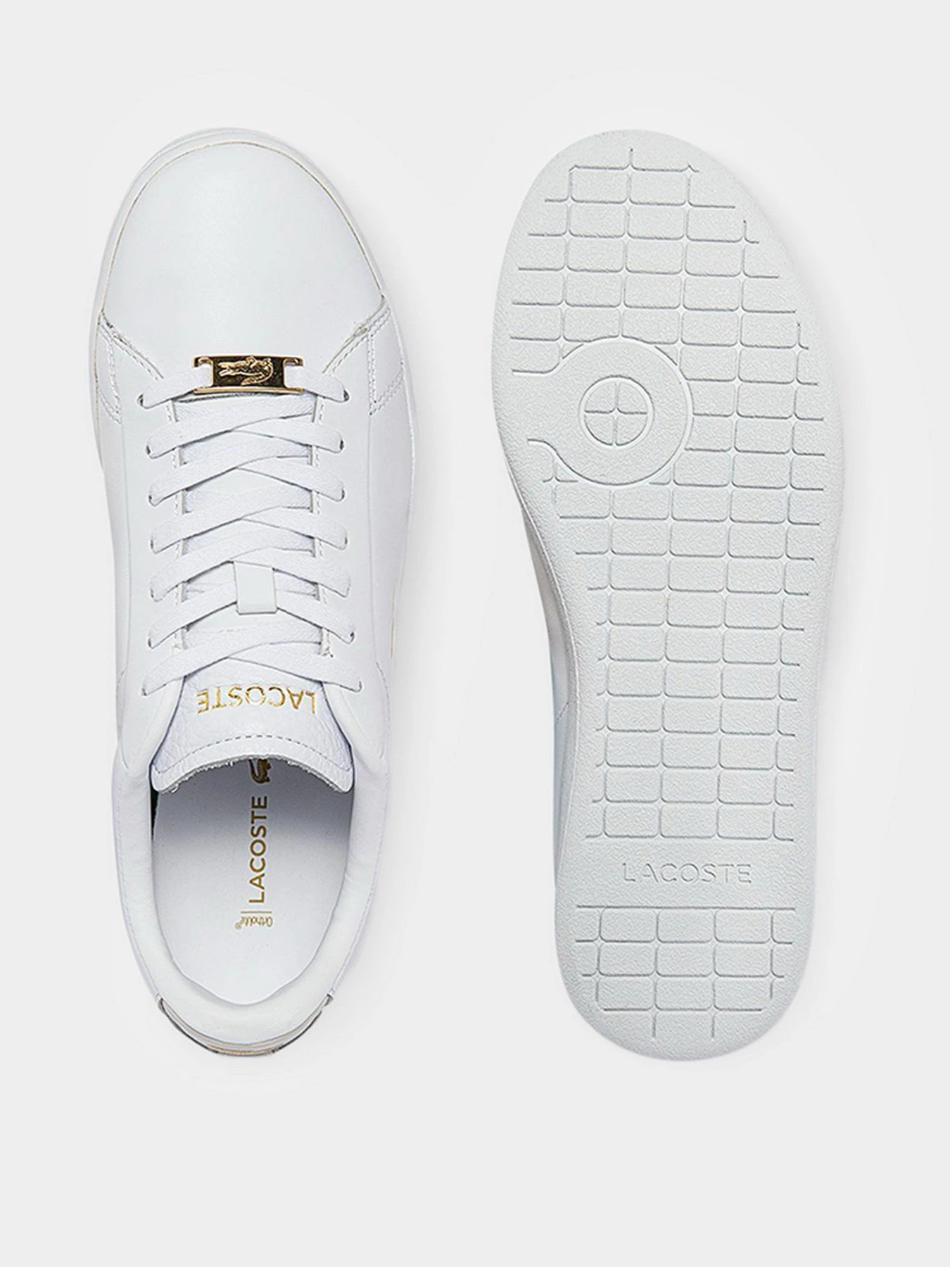 Кеды Lacoste Carnaby Evo 0722 1 модель 743SFA0016216 Кеды Lacoste Carnaby Evo 0722 1 модель 743SFA0016216 Фото