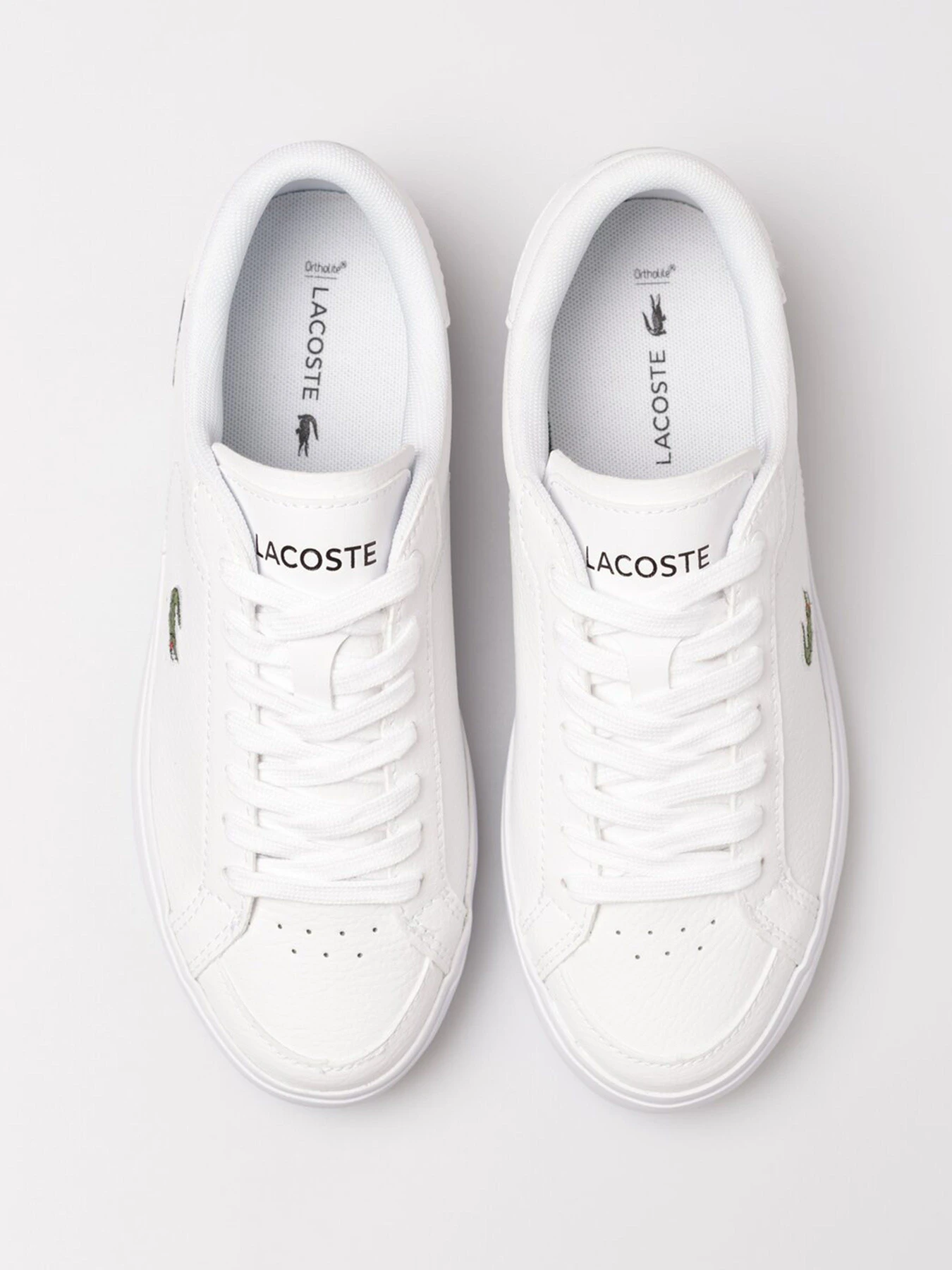 Кеды Lacoste Powercourt 222 модель 744SFA0077147 Кеды Lacoste Powercourt 222 модель 744SFA0077147 Фото