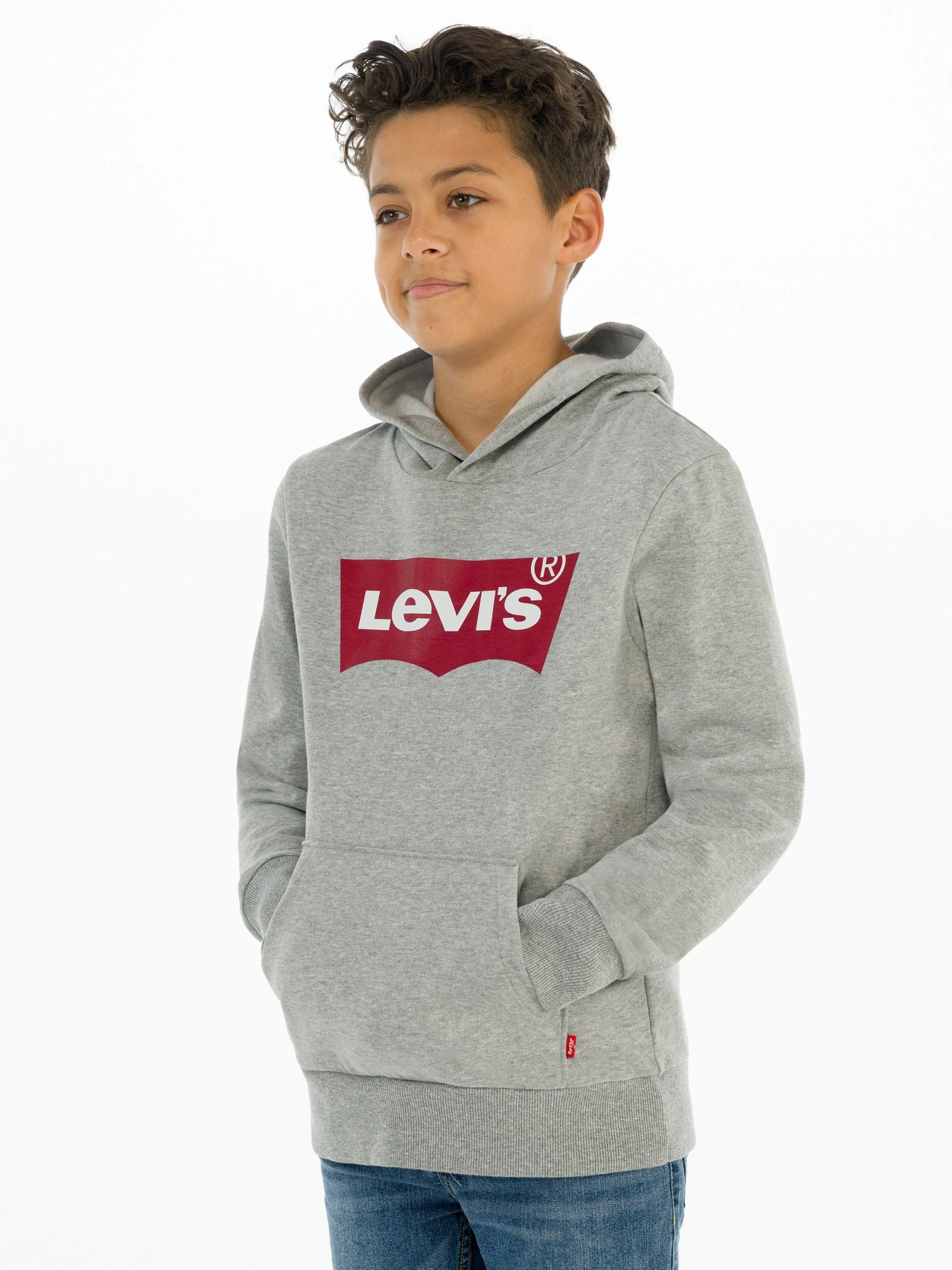 Худі та світшоти Levi's Lvb-Batwing Screenprint Hoodie модель 9E8778-C87 Худі та світшоти Levi's Lvb-Batwing Screenprint Hoodie модель 9E8778-C87 Фото