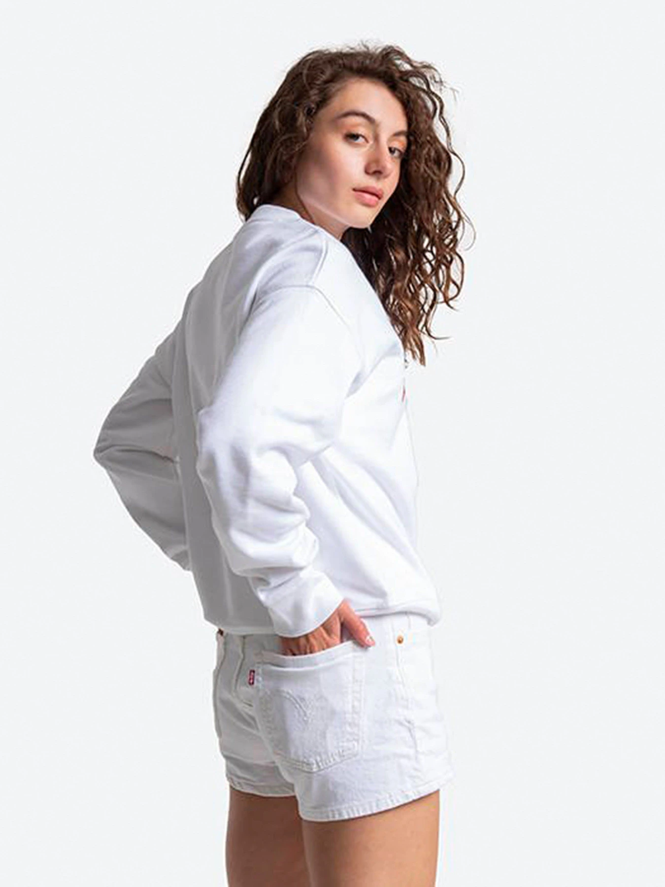 Худи и свитшоты Levi's Graphic Standard Crew модель 18686;0011 Худи и свитшоты Levi's Graphic Standard Crew модель 18686;0011 Фото