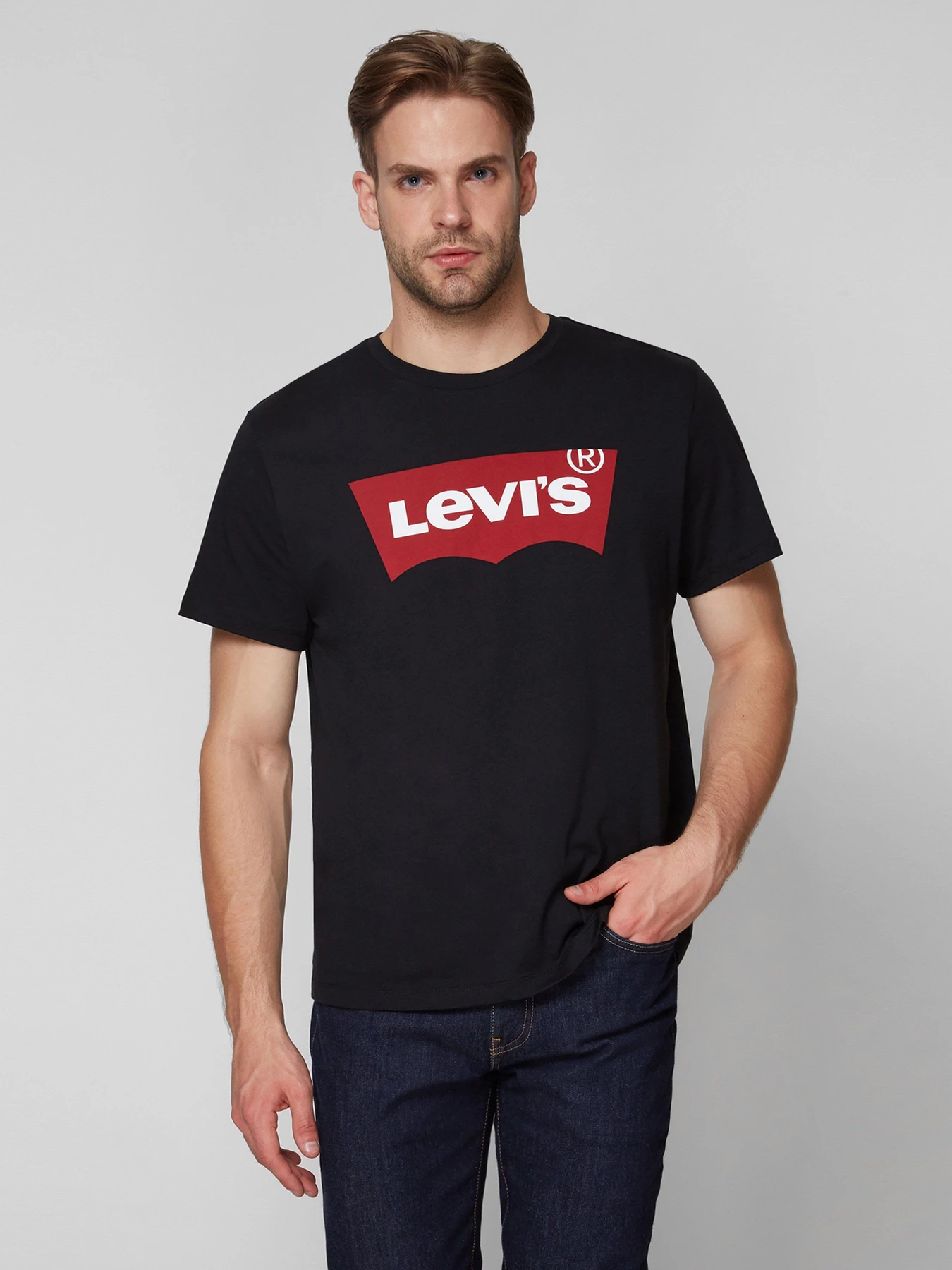 Футболки и поло Levi's Graphic Setin Neck Graphic H215hm модель 17783;0137 Футболки и поло Levi's Graphic Setin Neck Graphic H215hm модель 17783;0137 Фото