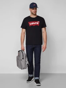 Футболки и поло Levi's Graphic Setin Neck Graphic H215hm модель 17783;0137 Фото