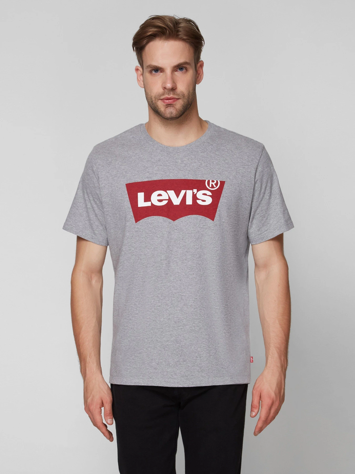 Футболки и поло Levi's Graphic Setin Neck Graphic H215hm модель 17783;0138 Футболки и поло Levi's Graphic Setin Neck Graphic H215hm модель 17783;0138 Фото