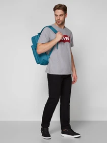 Футболки и поло Levi's Graphic Setin Neck Graphic H215hm модель 17783;0138 Фото