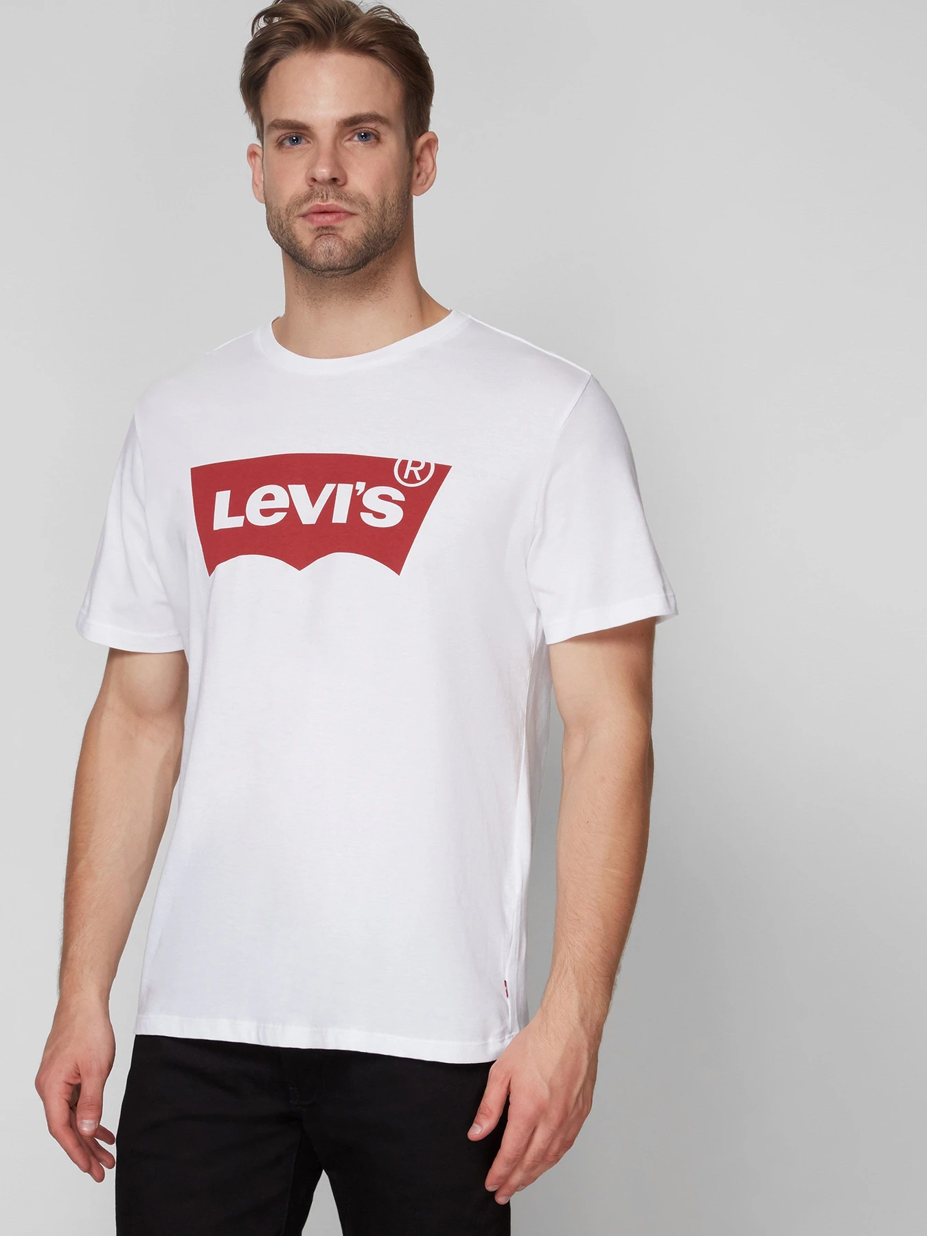 Футболки и поло Levi's Graphic Setin Neck Graphic H215hm модель 17783;0140 Футболки и поло Levi's Graphic Setin Neck Graphic H215hm модель 17783;0140 Фото