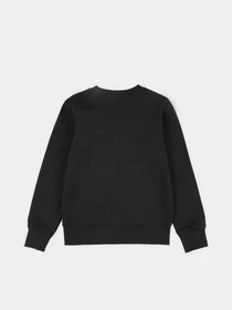 Худи и свитшоты Levi's модель 9EE331-K84 Фото