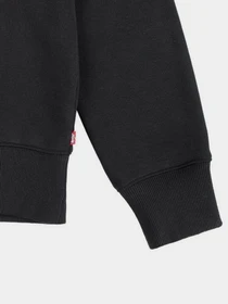 Худи и свитшоты Levi's модель 9EE331-K84 Фото