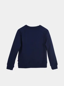 Худи и свитшоты Levi's Batwing Crewneck модель 4E6660-B9G Фото