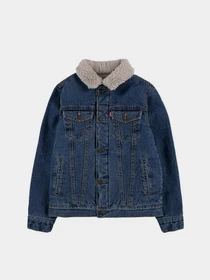 Куртки и дубленки Levi's модель 9EB220-MAG Фото