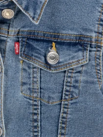 Куртки та дублянки Levi's модель 4E4388-M0K Фото