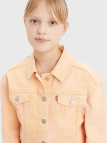 Куртки та дублянки Levi's модель 4EK106-N74 Фото