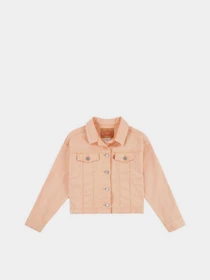Куртки та дублянки Levi's модель 4EK106-N74 Фото