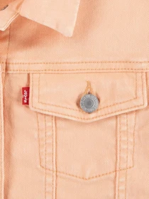 Куртки та дублянки Levi's модель 4EK106-N74 Фото