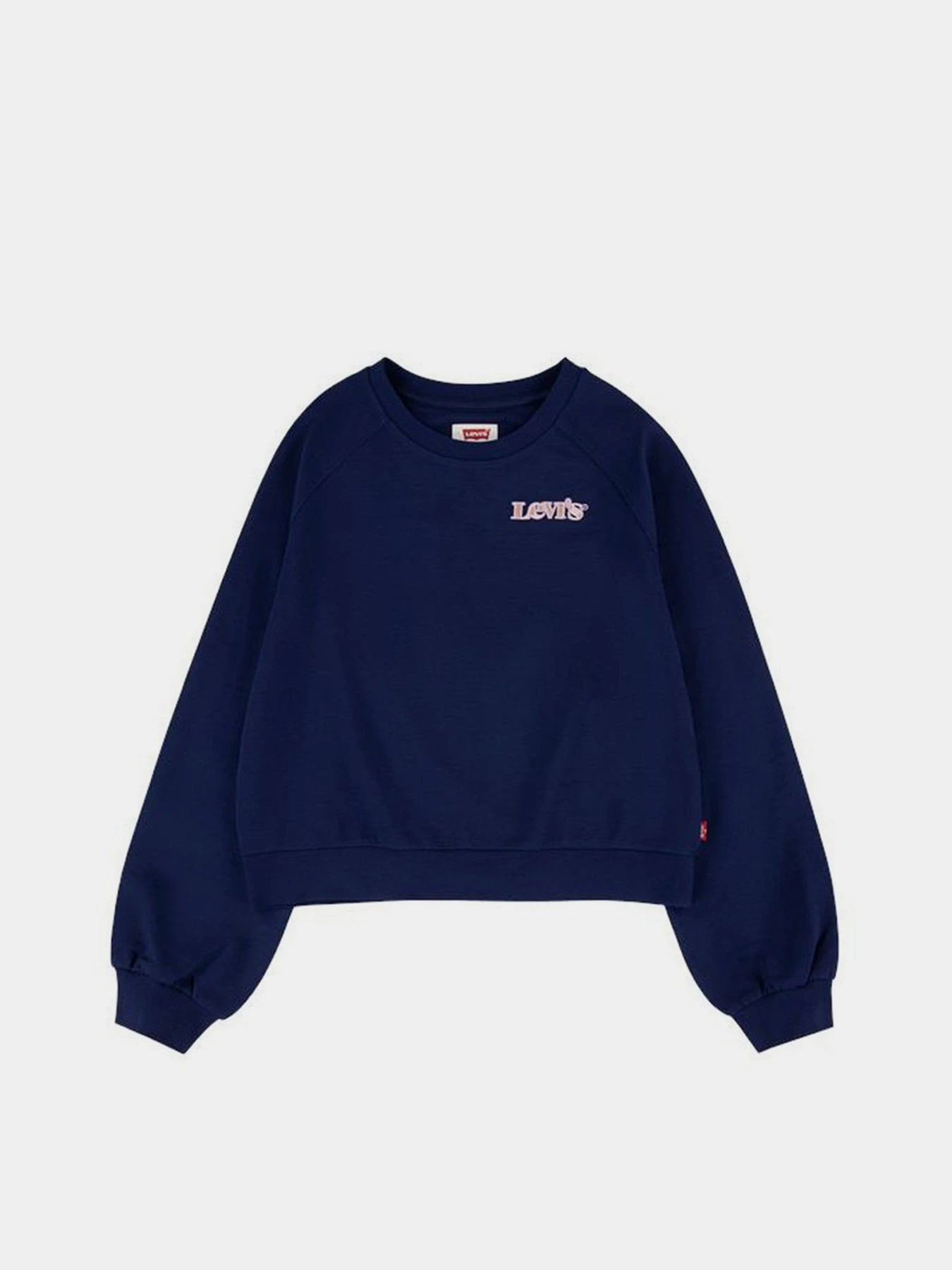 Худі та світшоти Levi's Benchwarmer модель 4ED497-B4M Фото