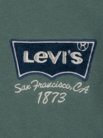 Куртки и дубленки Levi's модель 9EK811-EFX Фото
