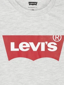 Футболки и поло Levi's LVG S/S Batwing Tee модель 3E4234-G8Y Фото