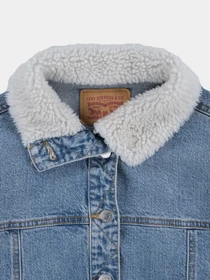 Куртки и дубленки Levi's модель 4EL095-L96 Фото