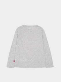 Худи и свитшоты Levi's Batwing модель 3EA643-G2H Фото