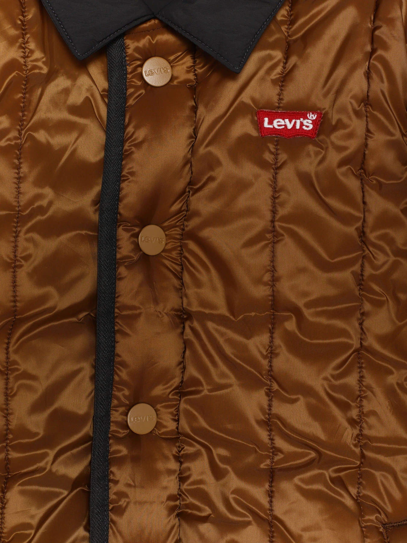 Куртки та дублянки Levi's модель 8EL256-G4O Куртки та дублянки Levi's модель 8EL256-G4O Фото