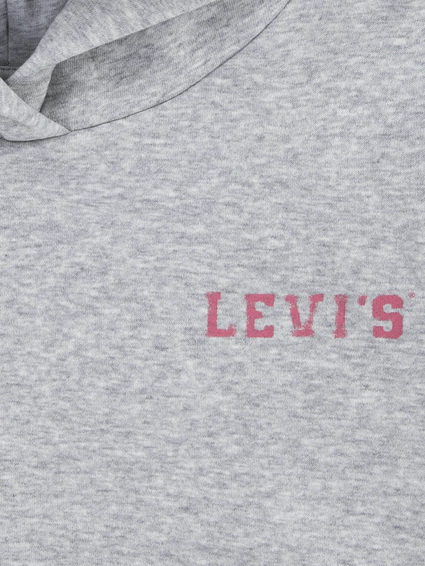 Худі та світшоти Levi's модель 4EL076-G2H Фото