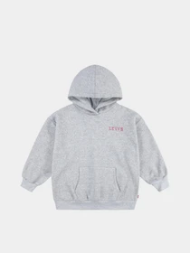 Худі та світшоти Levi's модель 4EL076-G2H Фото