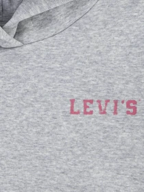 Худі та світшоти Levi's модель 4EL076-G2H Фото