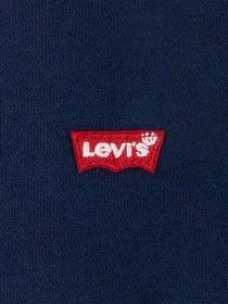 Худі та світшоти Levi's модель 9EL452-C8D Фото