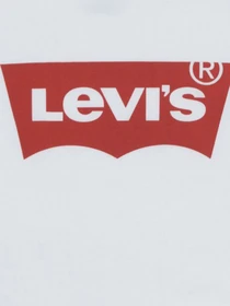 Футболки и поло Levi's SS Batwing модель 4E4234-W5J Фото