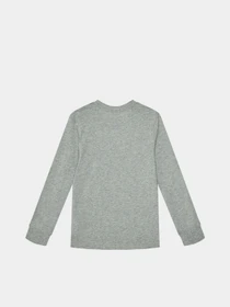 Худи и свитшоты Levi's модель 9EC706-C87 Фото