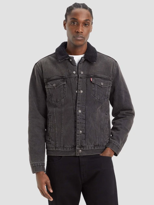Куртки и дубленки Levi's модель 16365;0241 Фото