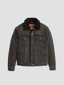 Куртки и дубленки Levi's модель 16365;0241 Фото