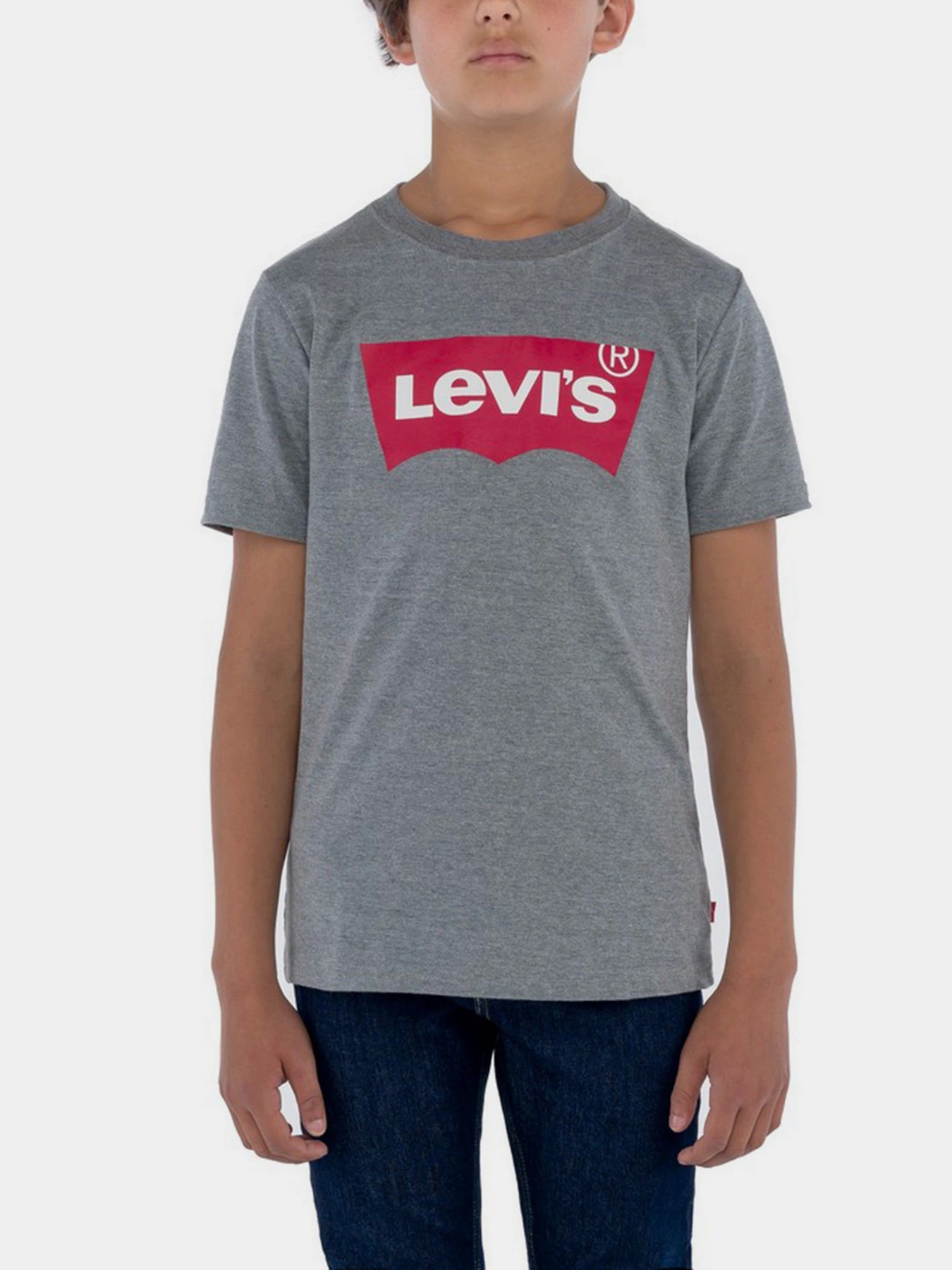 Футболки и поло Levi's Batwing модель 9E8157-C87 Футболки и поло Levi's Batwing модель 9E8157-C87 Фото