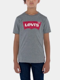 Футболки и поло Levi's Batwing модель 9E8157-C87 Фото