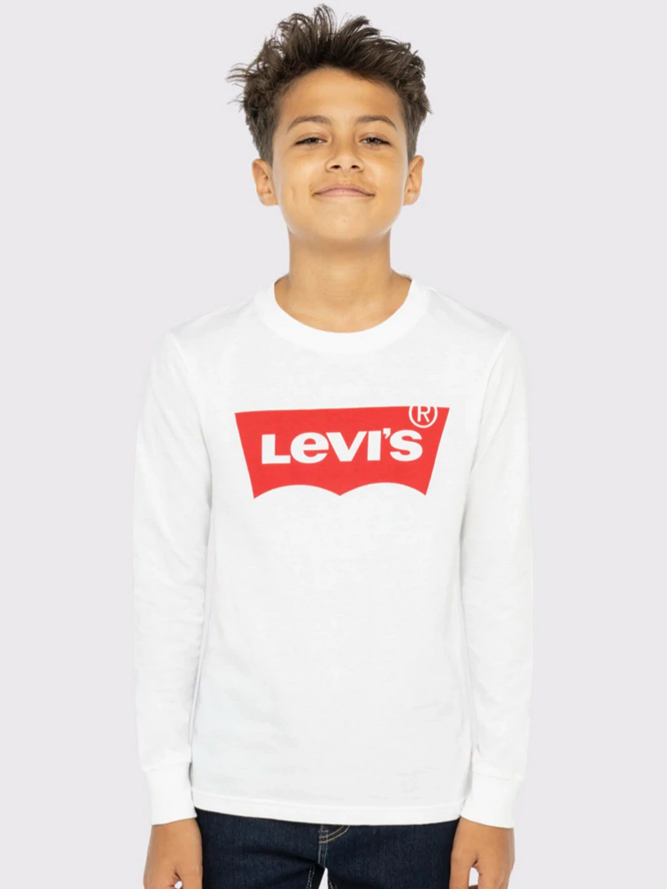 Худи и свитшоты Levi's Batwing модель 9E8646-001 Худи и свитшоты Levi's Batwing модель 9E8646-001 Фото