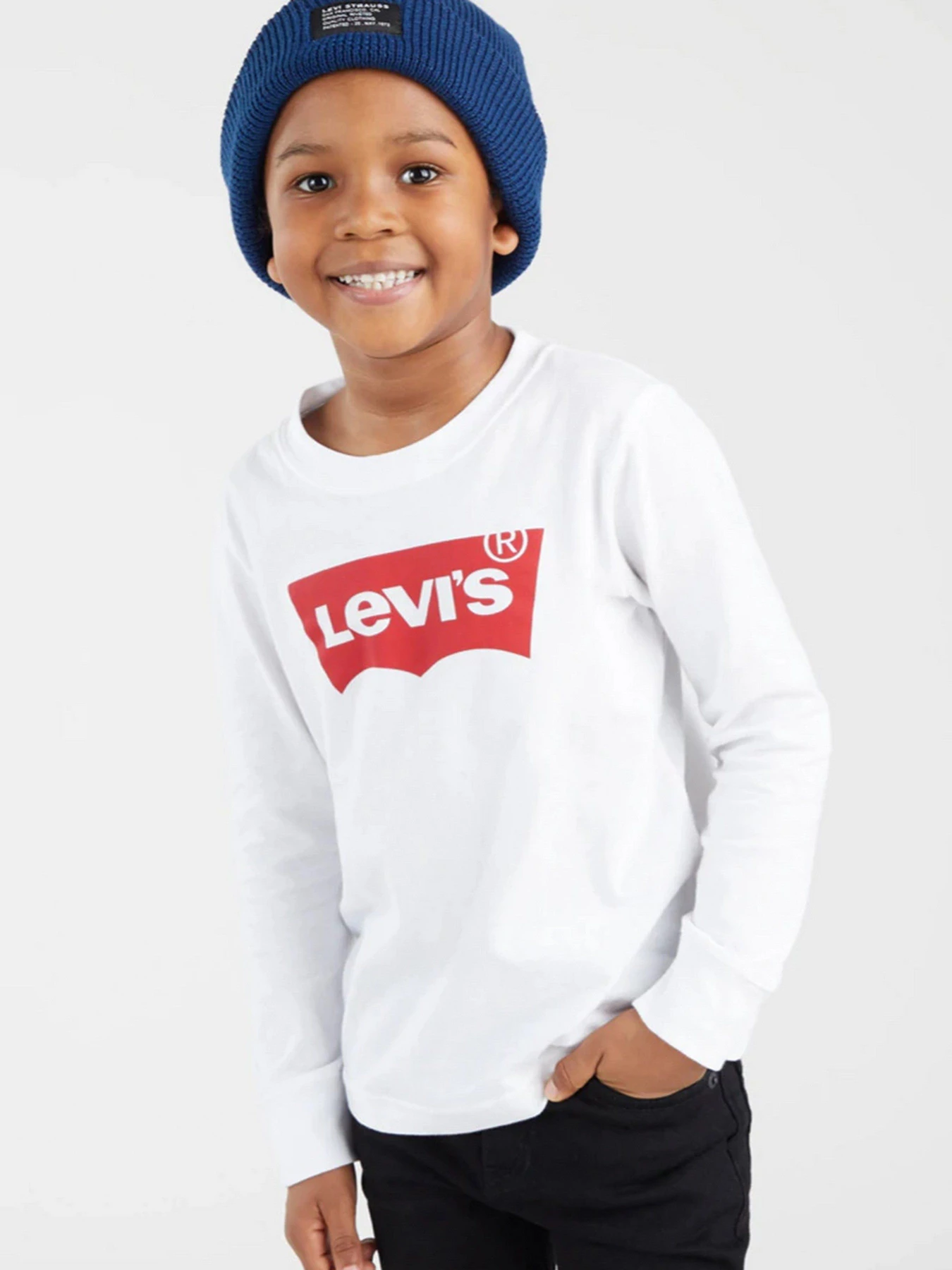 Худи и свитшоты Levi's Batwing модель 9E8646-001 Худи и свитшоты Levi's Batwing модель 9E8646-001 Фото