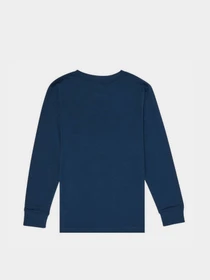 Худі та світшоти Levi's Batwing модель 9E8646-C8D Фото
