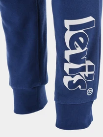 Штани Levi's модель 9EE449-U29 Фото