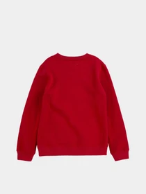 Худи и свитшоты Levi's CREWNECK модель 9E9079-R1R Фото