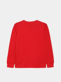 Худи и свитшоты Levi's модель 9E8646-R6W Фото