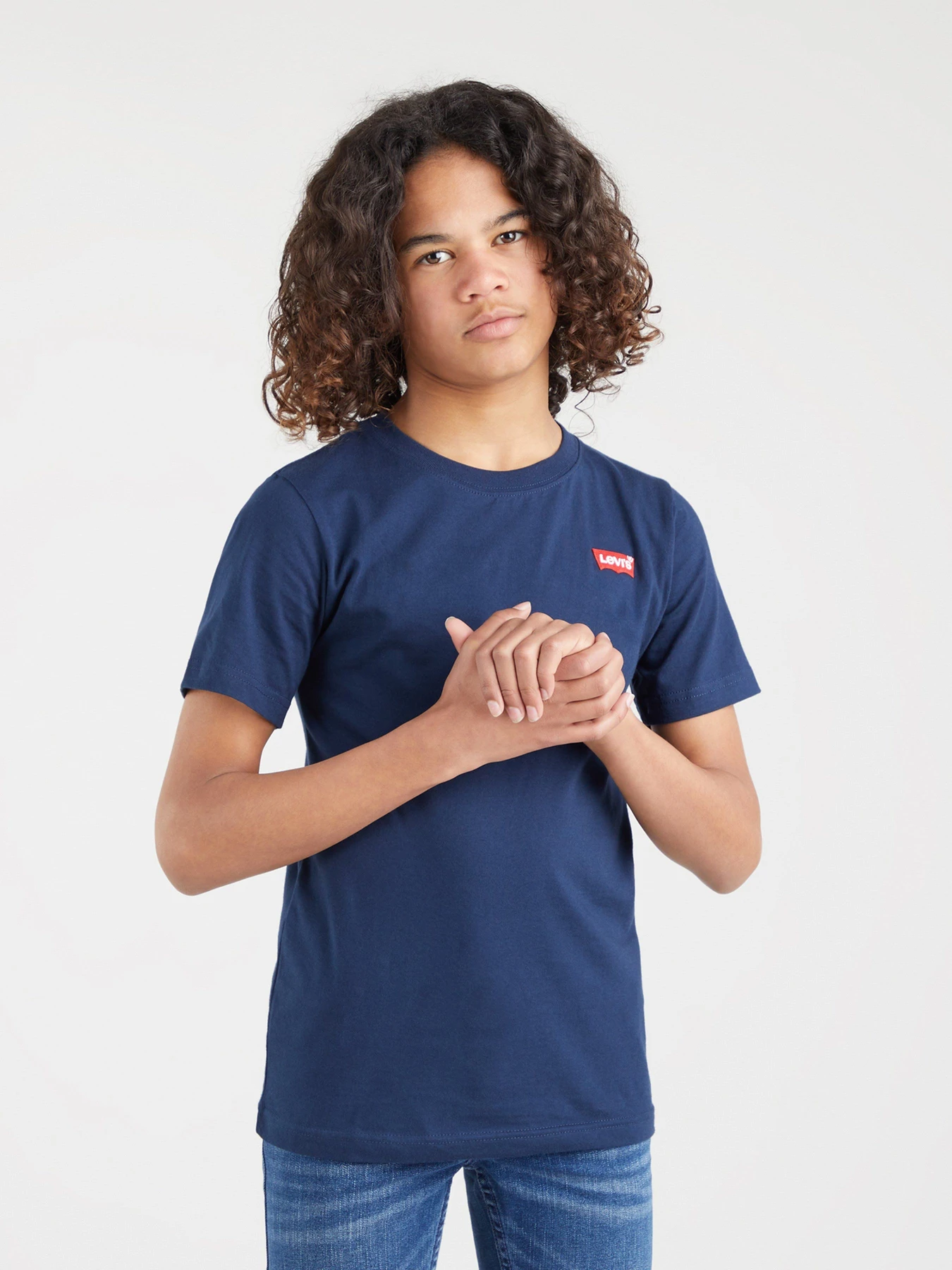 Футболки и поло Levi's Lvb-Batwing Chest Hit модель 9EA100-C8D Футболки и поло Levi's Lvb-Batwing Chest Hit модель 9EA100-C8D Фото