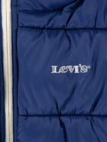 Куртки та дублянки Levi's SOLID BOXY FIT модель 4EG370-BA5 Фото