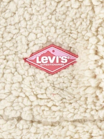 Куртки и дубленки Levi's LVG BOX FIT модель 4EF836-W34 Фото