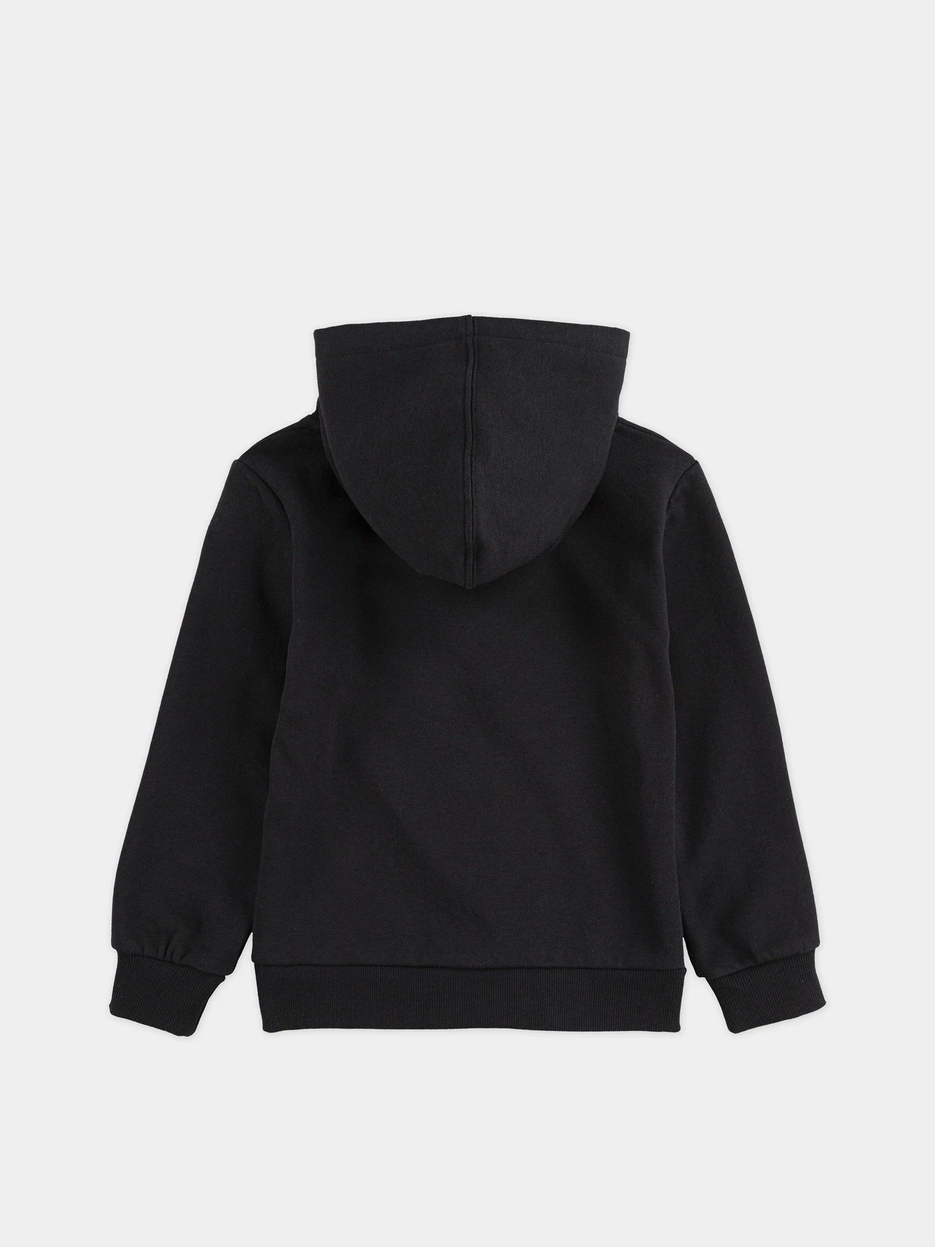 Худі та світшоти Levi's Lvb-Batwing Screenprint Hoodie модель 9E8778-023 Худі та світшоти Levi's Lvb-Batwing Screenprint Hoodie модель 9E8778-023 Фото