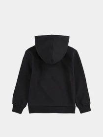 Худі та світшоти Levi's Lvb-Batwing Screenprint Hoodie модель 9E8778-023 Фото