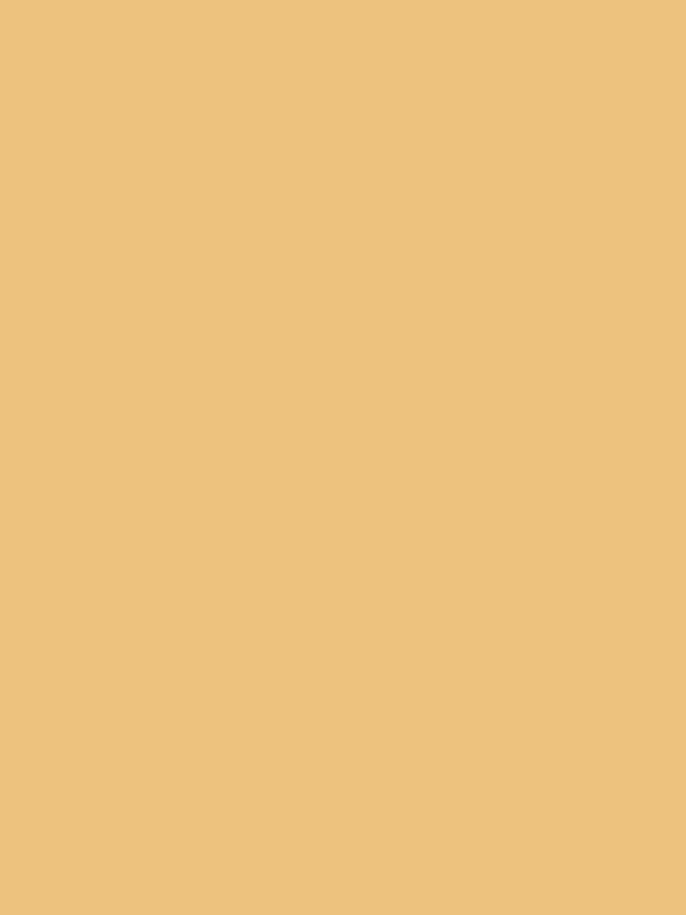 FIT ME Maybelline New York модель 3600531384159 Фото