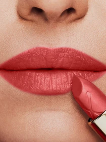 Помада зволожуюча Colour Elixir Moisture Lipstick MAX FACTOR модель 3614227902077 Фото