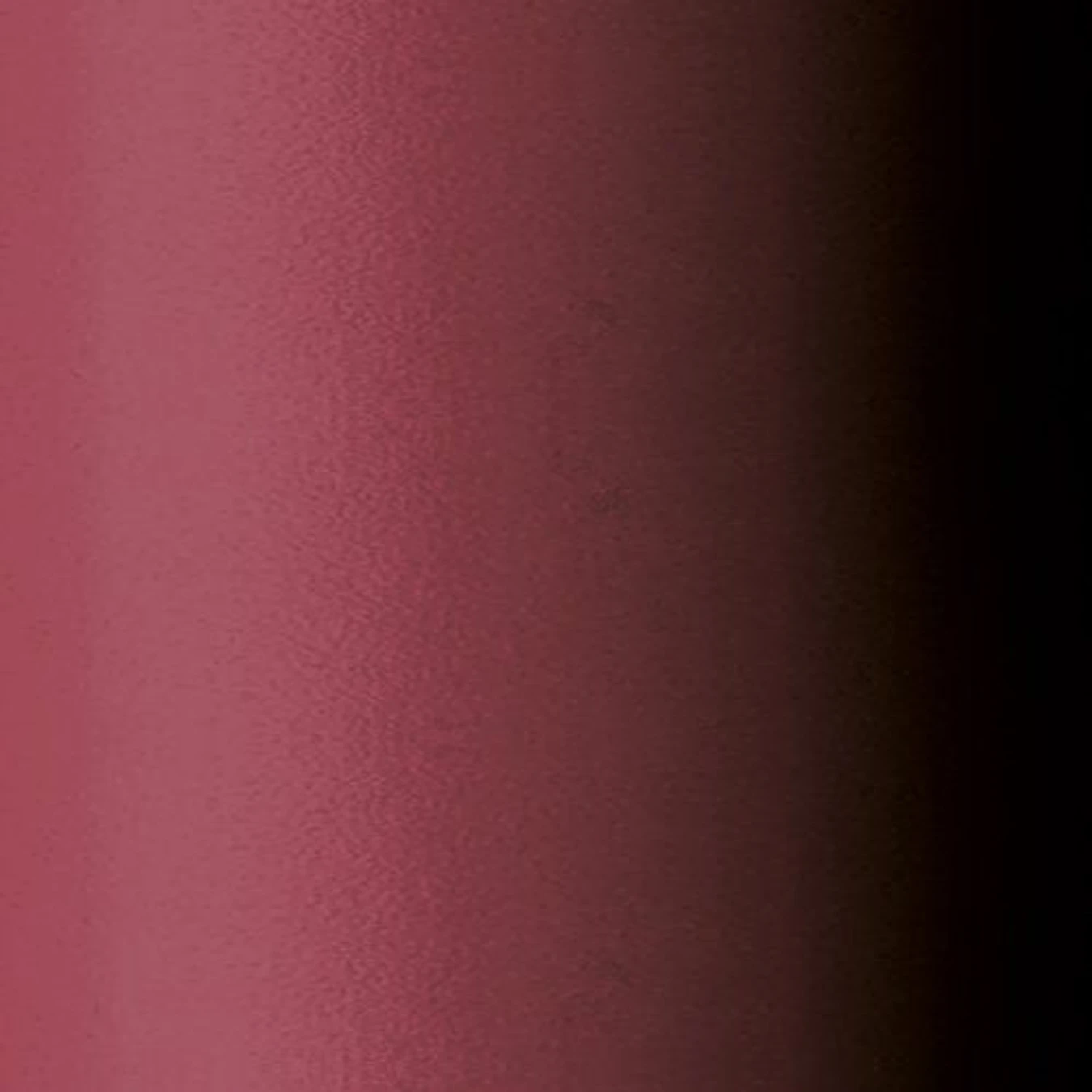Стойкая губная помада Glossy Lip Stylo Malu Wilz модель MW4241.9 Фото