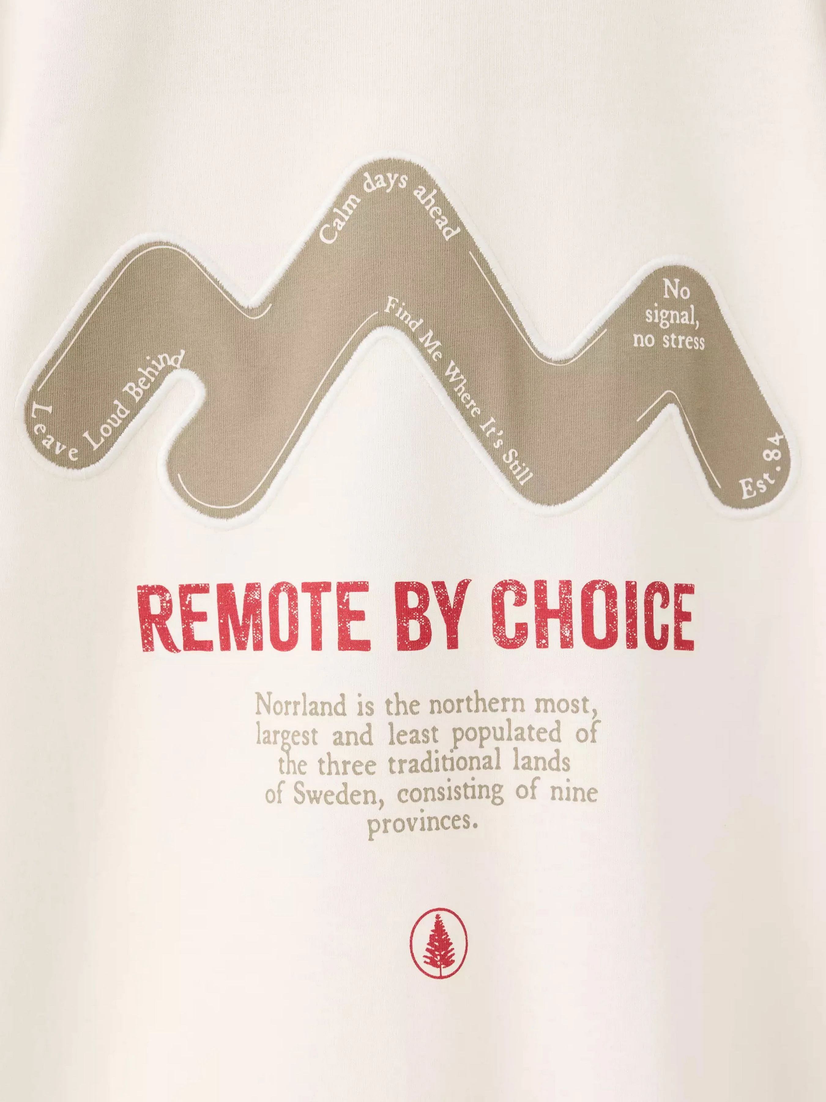 Бавовняний Дитячий Лонгслів MANGO SREMOTE фото 2