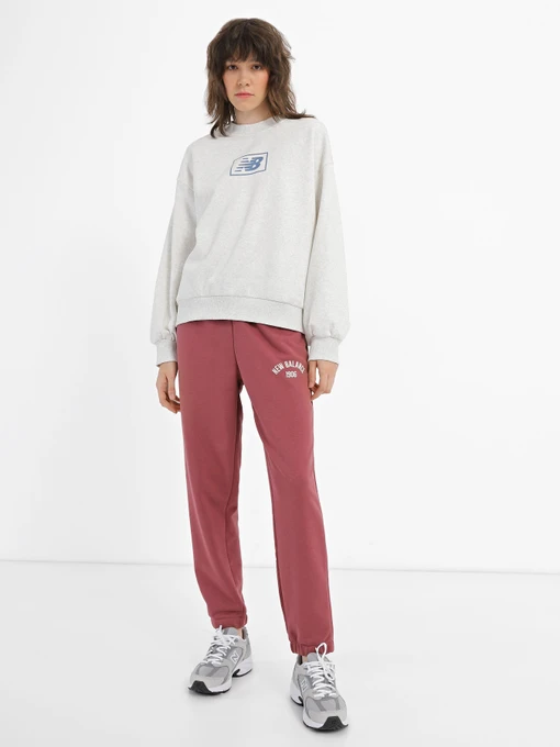 Худі та світшоти New Balance Essentials Brushed модель WT33528SAH Фото